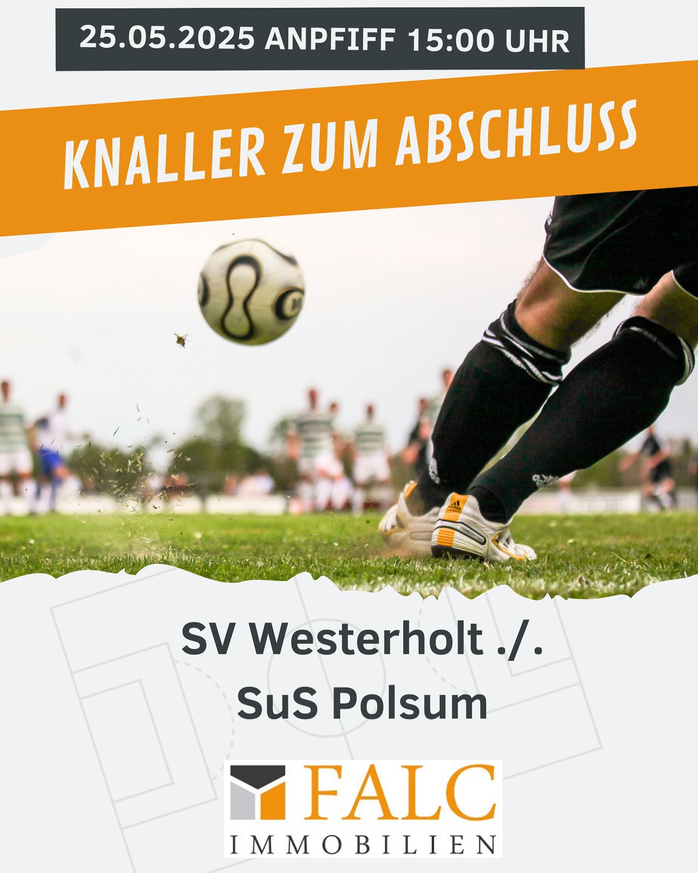News Bild