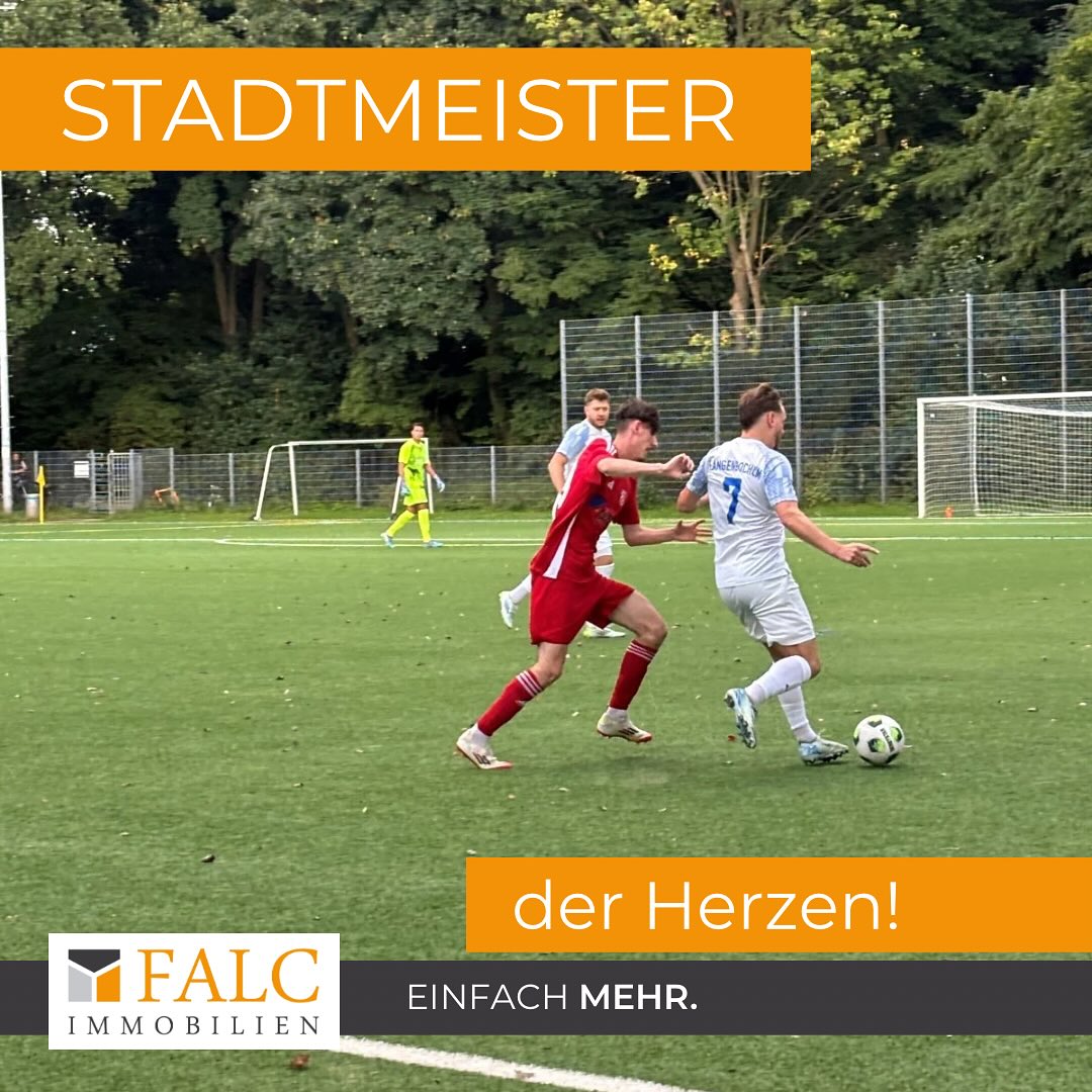 News Bild